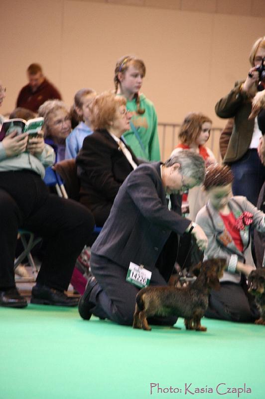 Crufts2011_2 538.jpg